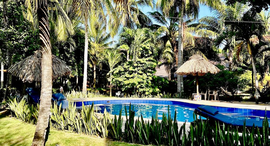 Palomino Dreame hotel Palomino Dreame hotel